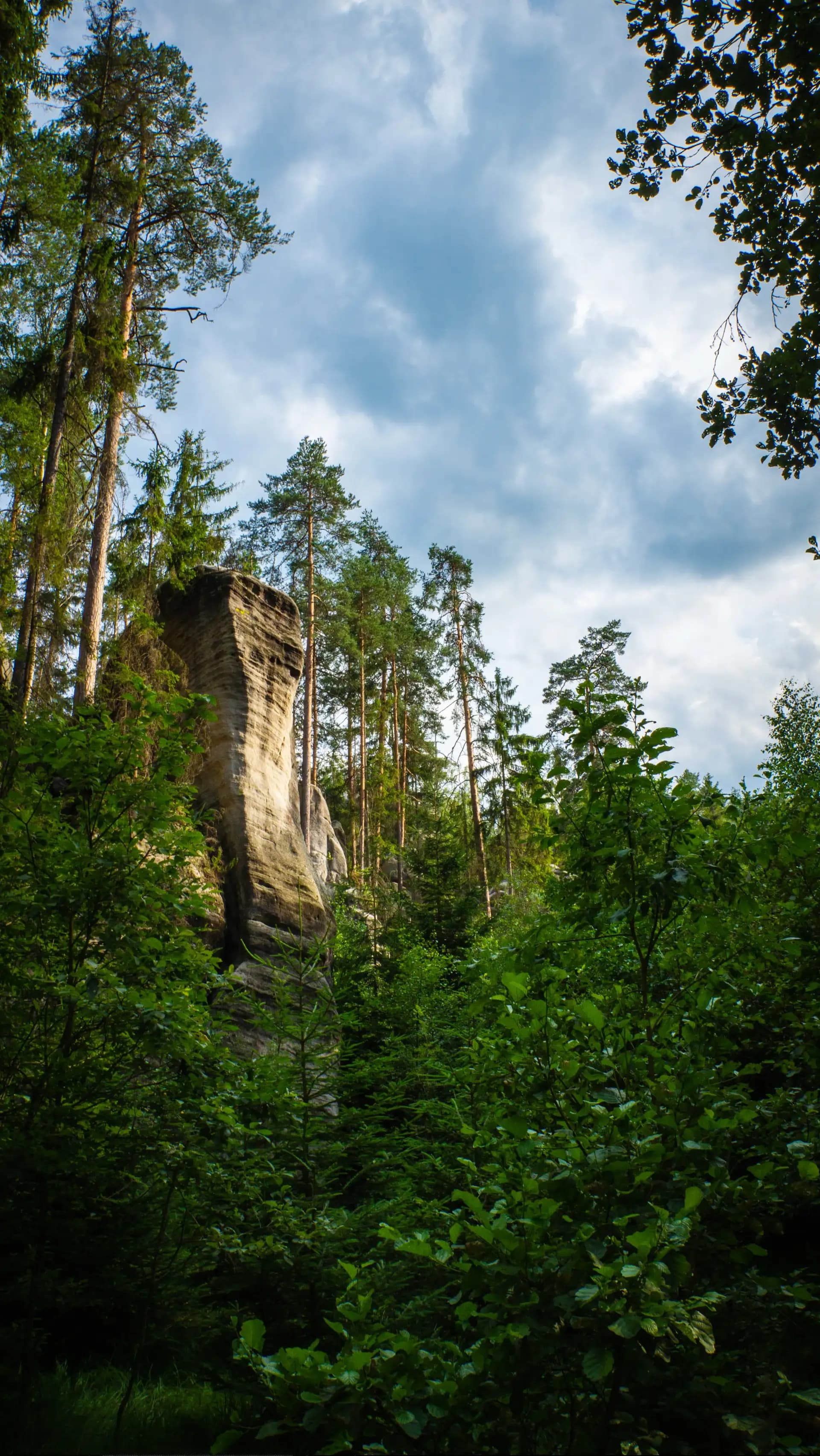 cover