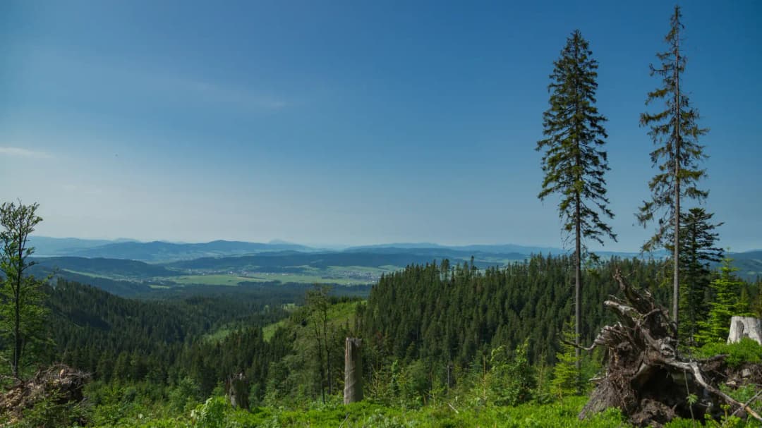 Babia Góra