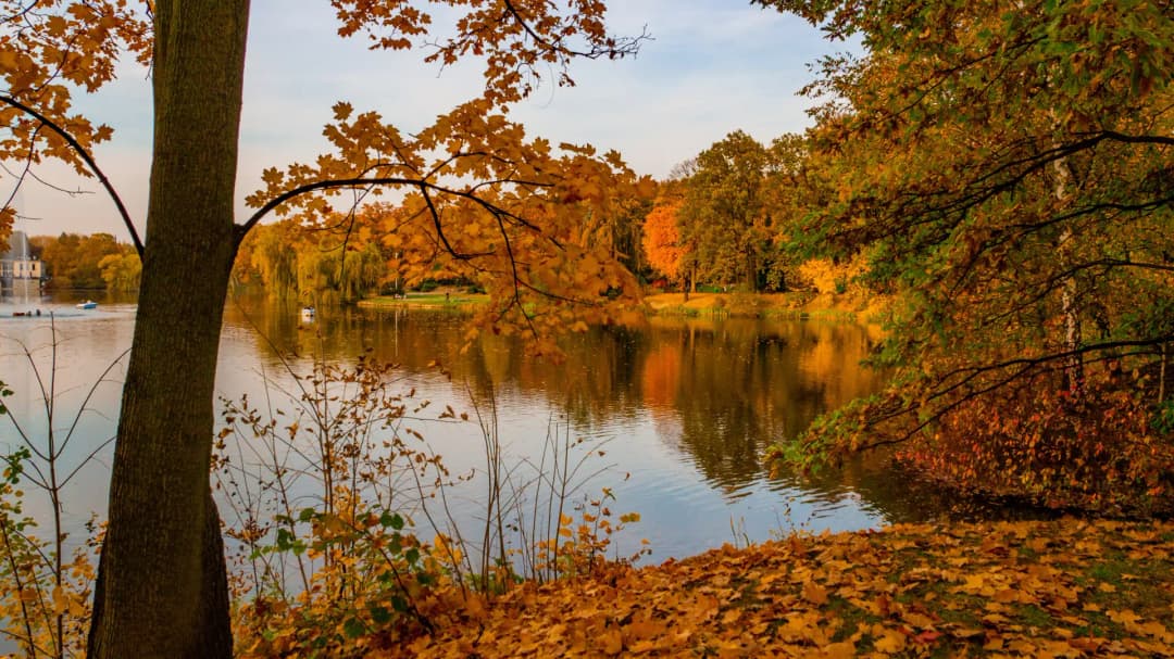 Jesień WPKiW 2019