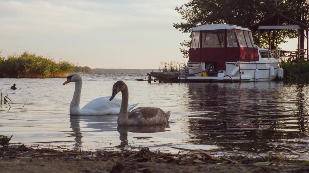 Mazury
